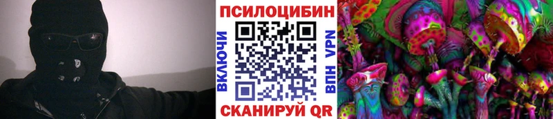 маркетплейс состав  Осташков  Псилоцибиновые грибы MAGIC MUSHROOMS 